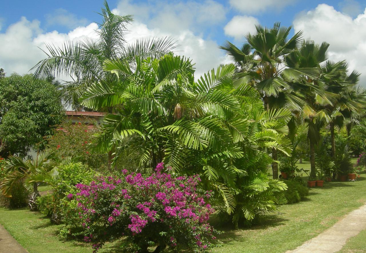 Hotel Blue Lagoon Baie Lazare  Esterno foto